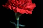 a_DSC02739